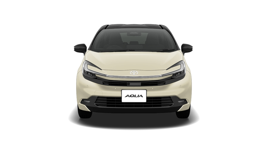 ブラックマイカ〈209〉×クリアベージュメタリック〈4Y3〉［M65］フロント