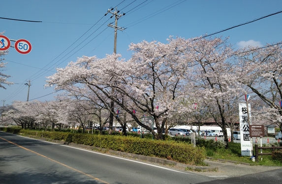 桜淵公園 現在の様子
