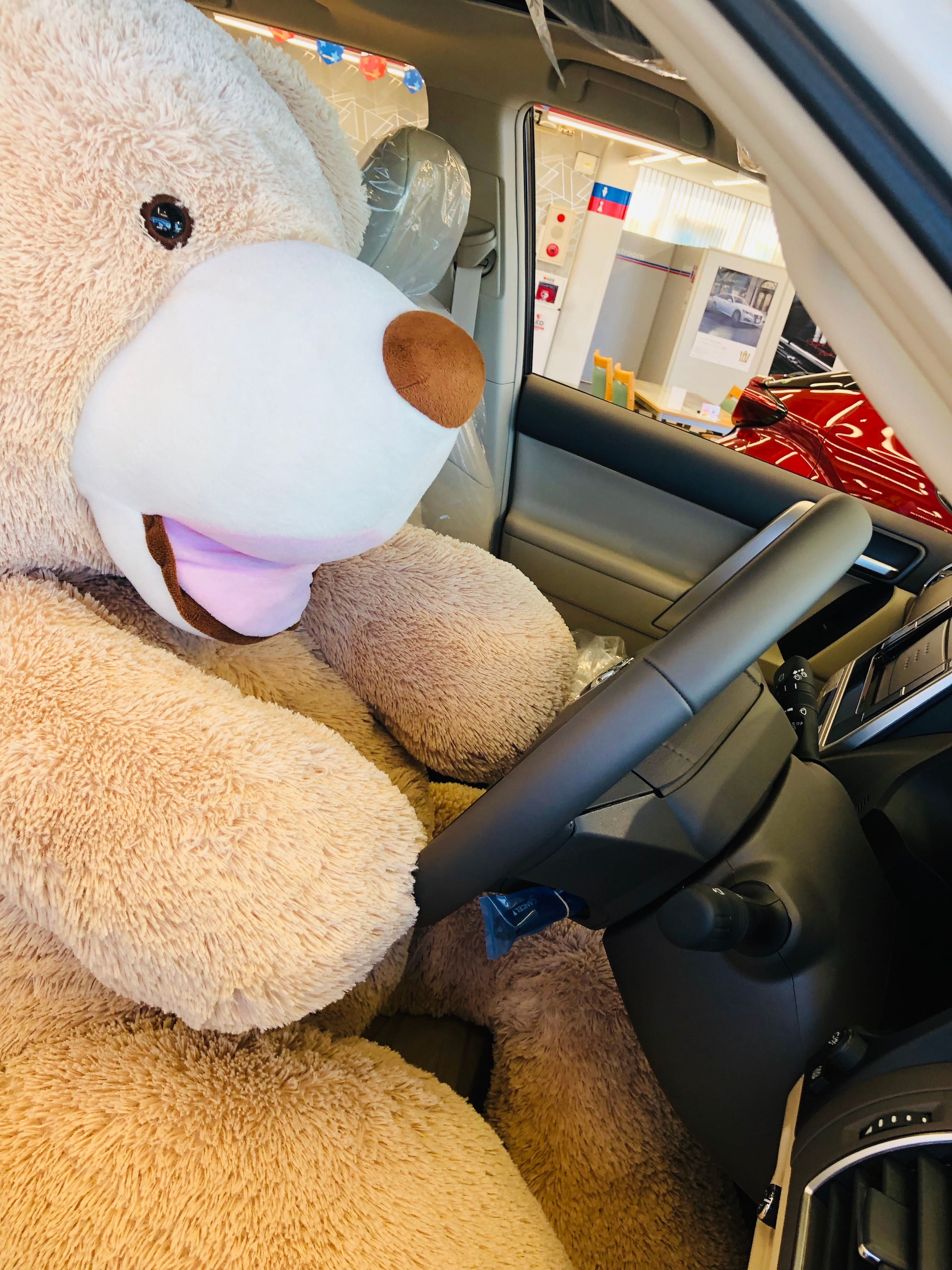 コストコベアご来店