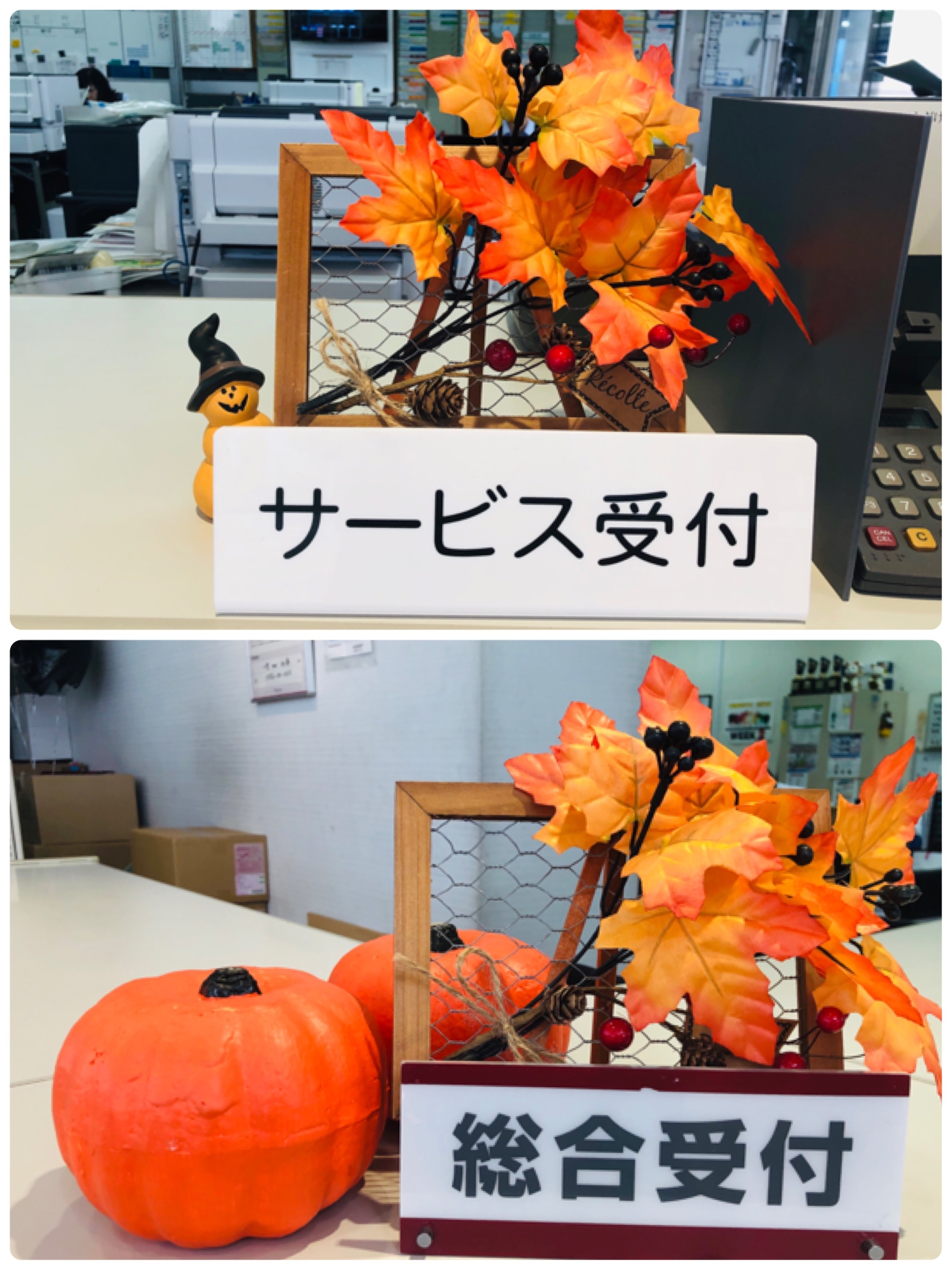 ショウルームの模様替え 秋