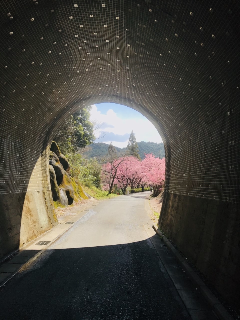 新城市の映えスポット