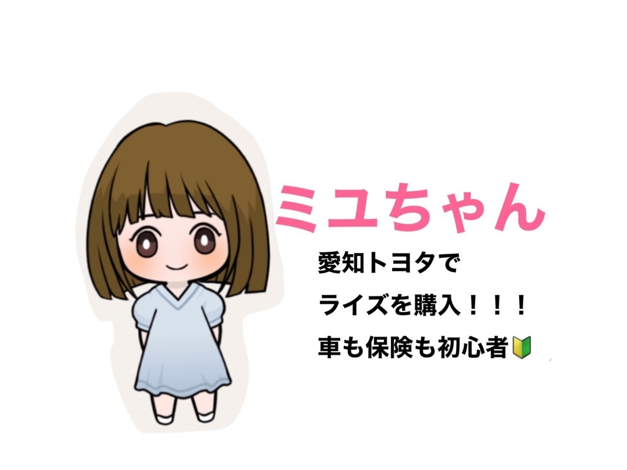 保険って必要 自動車保険編 保険って必要 自動車保険編