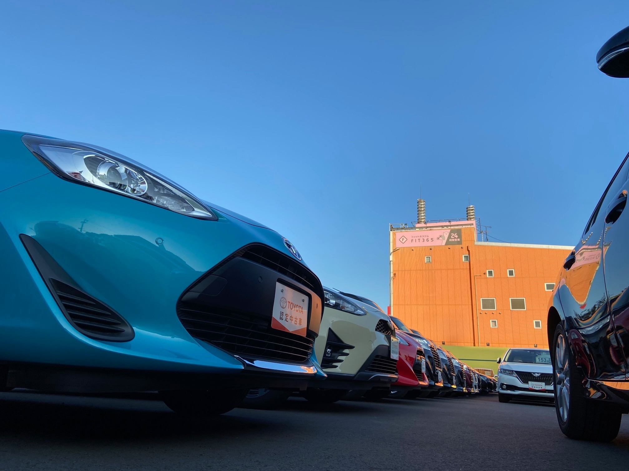 秋 ス パ ウィ ク