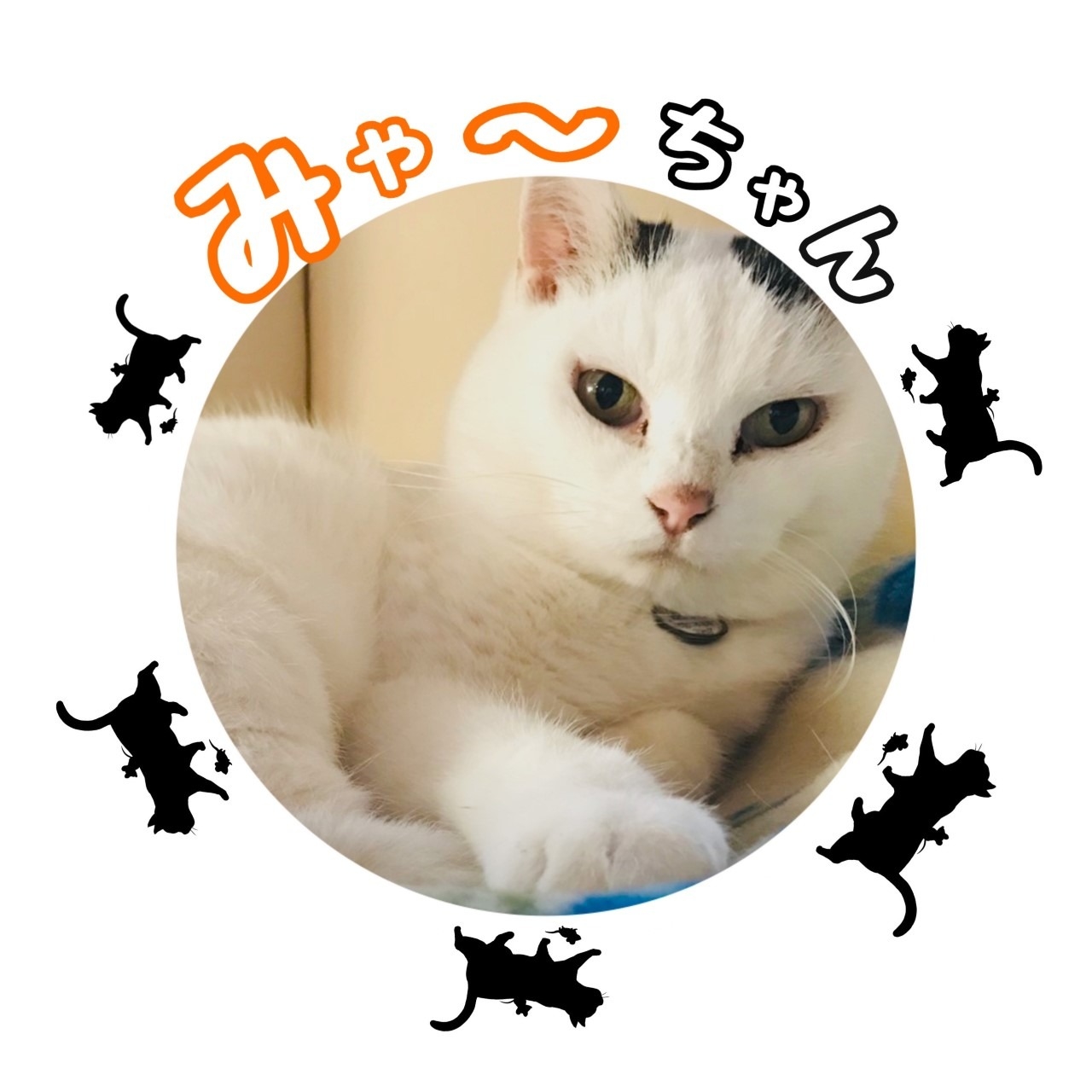 June スタッフのペット紹介