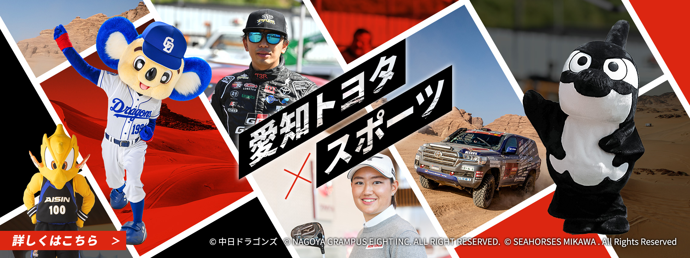 スポーツLPバナーPC