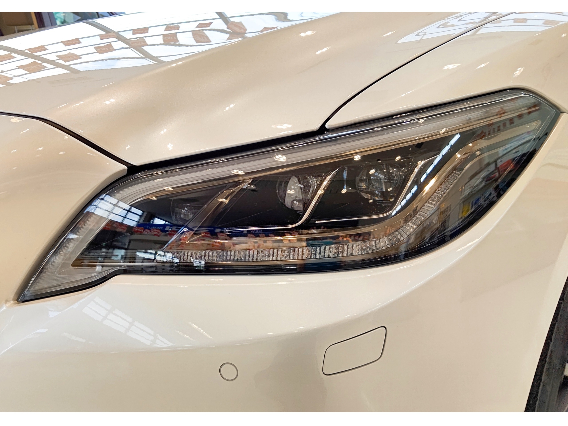 クラウン特別仕様車 展示中