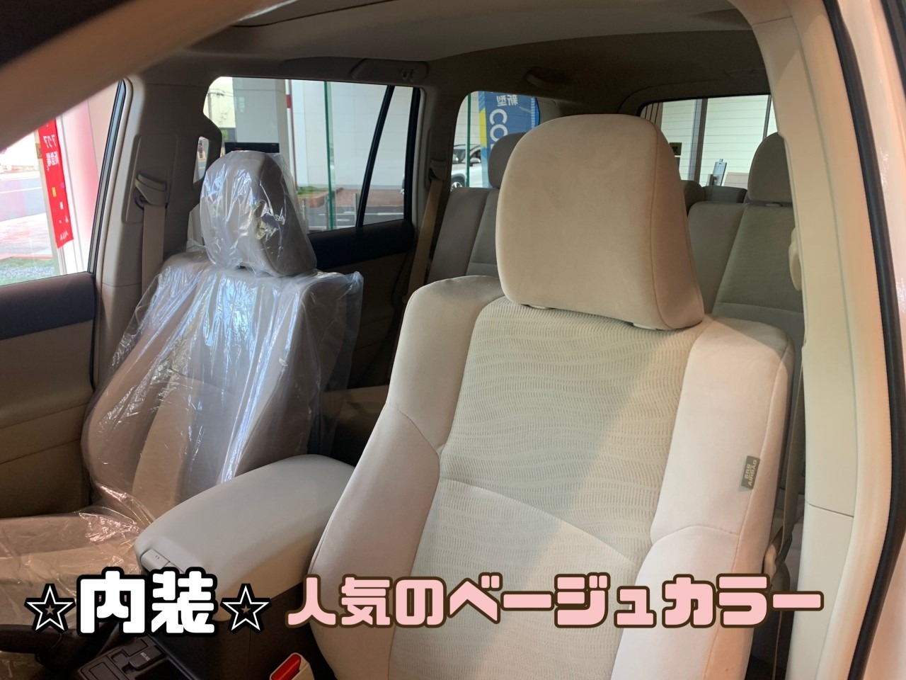 New展示車入りました