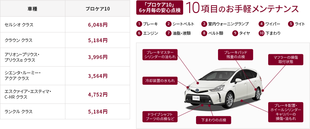 プロケア10