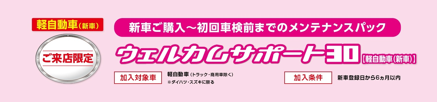 ウェルカムサポート30(軽)メインビジュアルPC