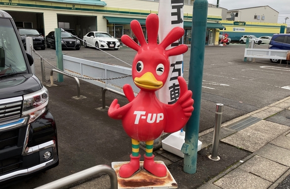 ルミオンの紹介🚗