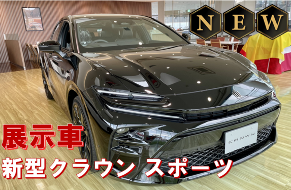 クラウンスポーツ非売品 61CqSgk69nL._UF350,350_QL50_.jpg