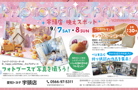 みい フォトブース 確認 132579-39-