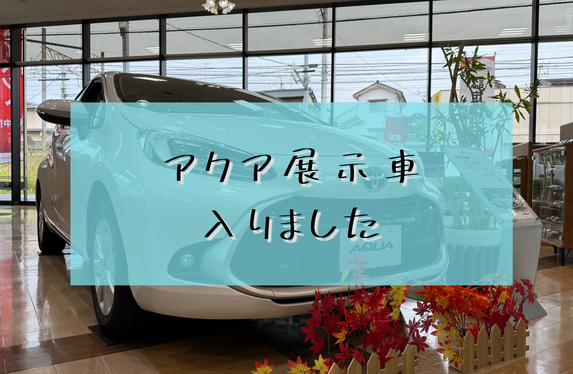 🌟アクアの展示車が入りました✨