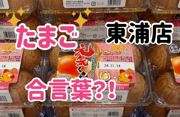 🥚🍳卵たまご玉子🍳🥚