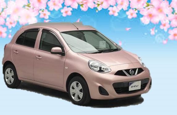 桜色 マーチ 入荷！