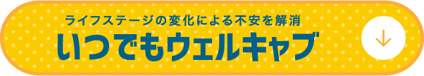 いつでもウェルキャブ