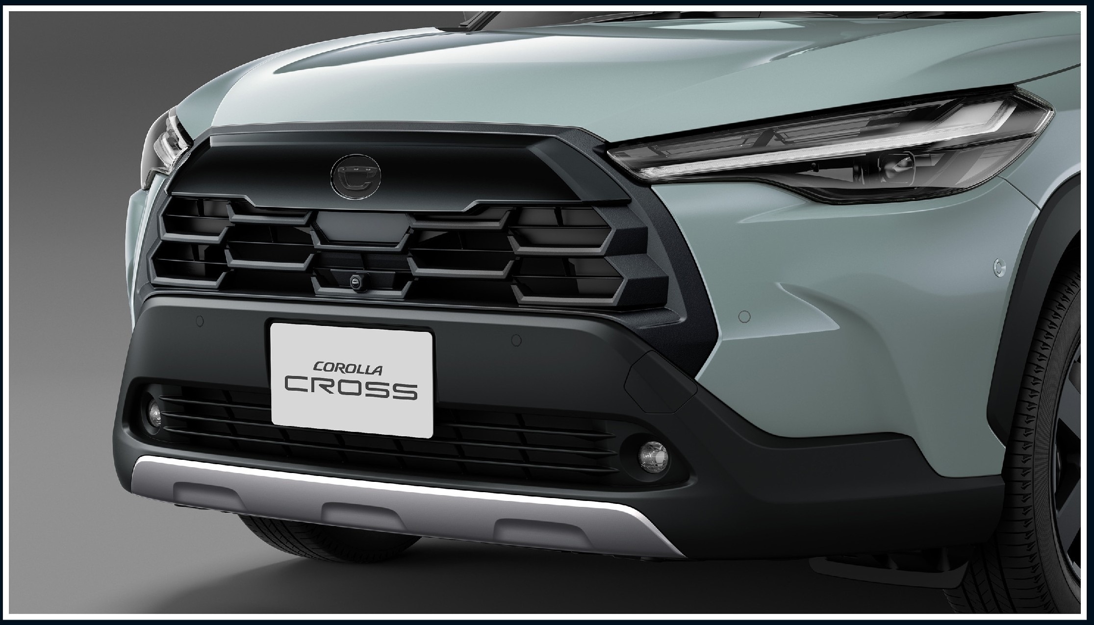 特別仕様車、登場！