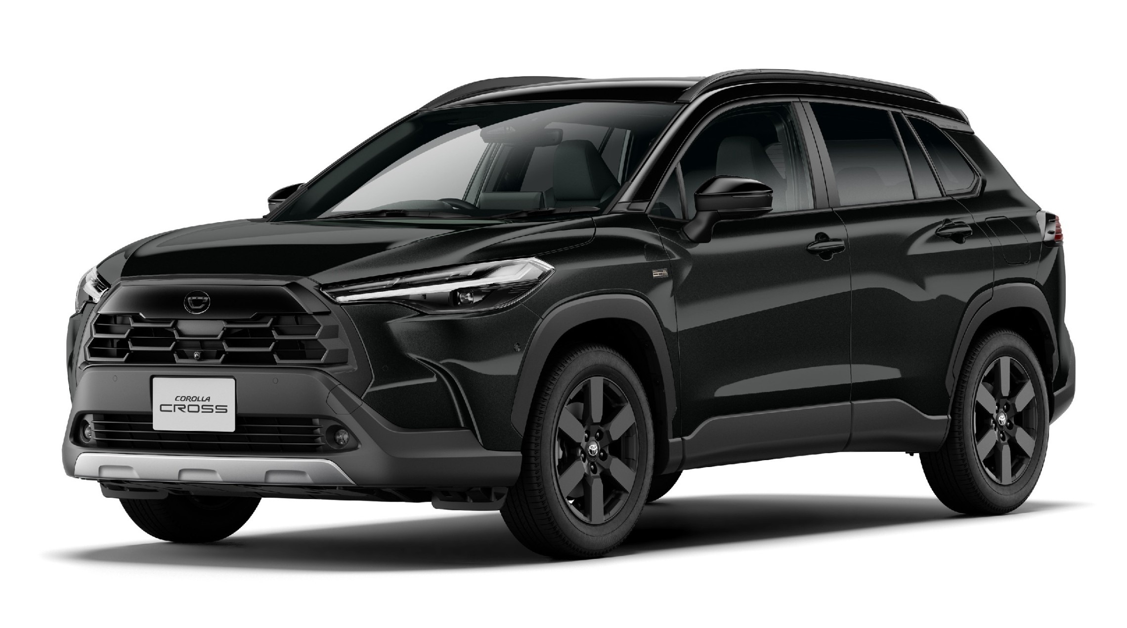 特別仕様車、登場！