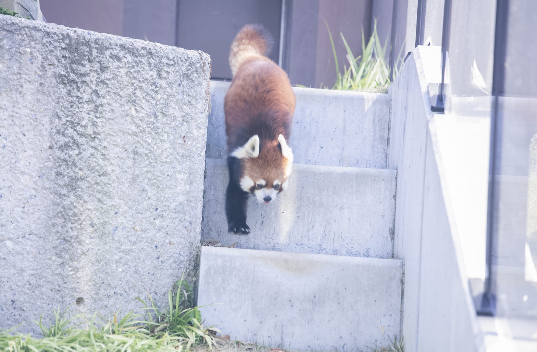 桑原さんのおすすめコースSPOT5