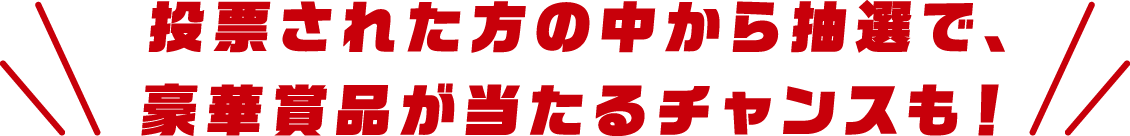 投票された方の中から抽選で、豪華賞品が当たるチャンスも!