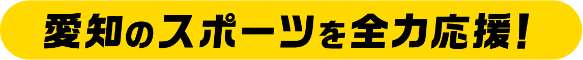 愛知のスポーツを全力応援！