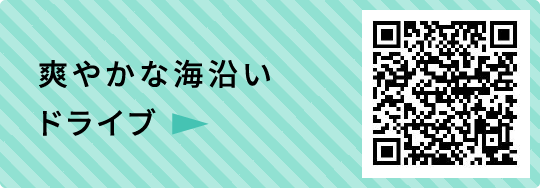 爽やかな海沿いドライブ