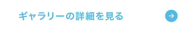 ギャラリーの詳細を見る
